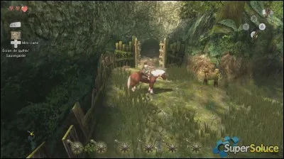 Quels personnages voit-on dans la Forêt de Firone ?