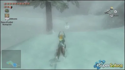 Et dans la zone des Pics Blancs, manoir compris ?