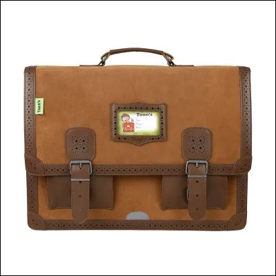 Parmi ces matières scolaires, laquelle préfères-tu ou préférerais-tu ?