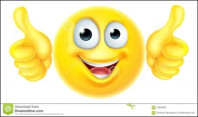 Parmi ces propositions, laquelle te correspond le plus ?