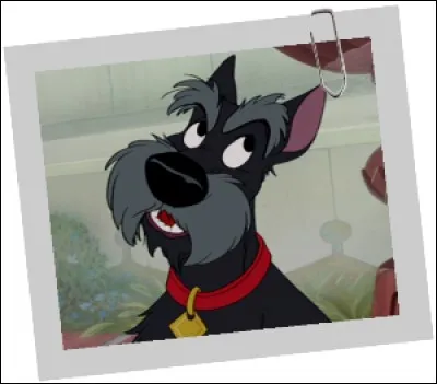 Comment se prénomme ce terrier écossais, personnage de "La Belle et le Clochard" ?