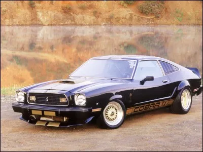 Quelle est cette Mustang ?