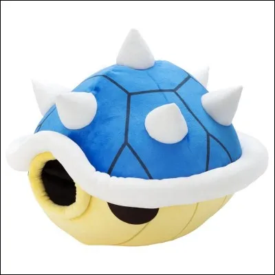 Que fait cette carapace ?