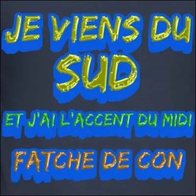 Chimène Badi a chanté 'Je viens du sud' en 2005, mais qui est l'auteur, (qui appréciait 'Les Ricains') , de cette chanson ?