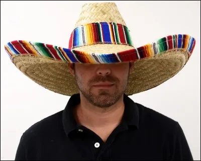 Traduisez - "Nous sommes des hommes"