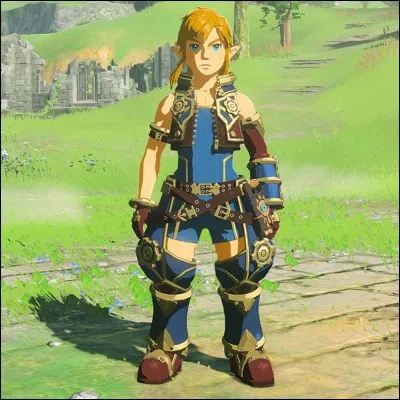 Dans Zelda : Breath of the Wild, comment cette tenue s'appelle-t-elle ?