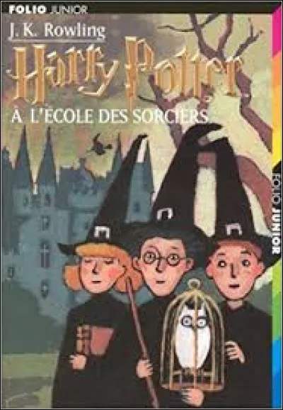 Qui est le méchant dans ''Harry Potter à l'école des sorciers'' ?