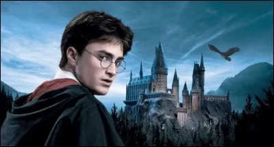 Avec qui Harry Potter se marie-t-il dans ''Harry Potter et l'Enfant maudit'' ?