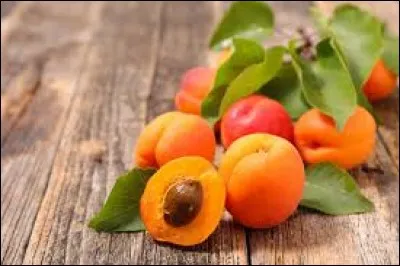 C'est le fruit d'un arbre, de la famille des Rosaceae dont le nom scientifique est Prunus armeniaca.