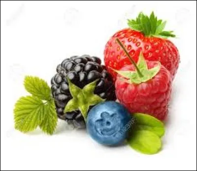 Ce trouble mental est caractérisé par la diminution ou la privation de la volonté avec ralentissement de l'activité intellectuelle et physique.