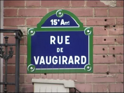 'Case rue de Vaugirard' . Quelle est la particularité de cette rue intra-muros de Paris ?