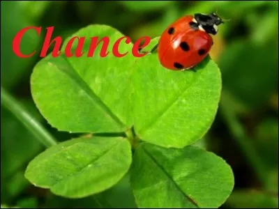 'Case Chance' . Combien a-t-on de chances d'avoir les 5 bons numéros + les deux étoiles à l'Euro Millions ?