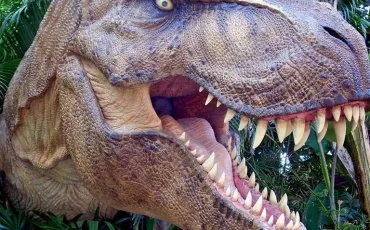 Quiz Dinosaures