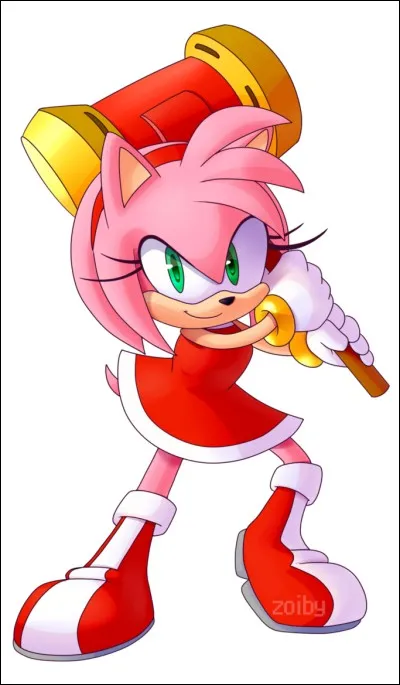Qui est ce personnage de l'univers de Sonic ?