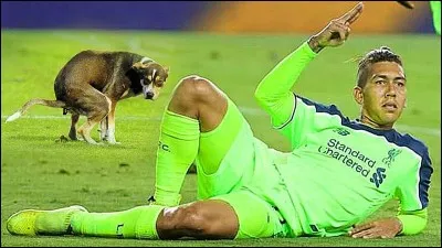 Elle se déroulera en Russie du 14 juin au 15 juillet 2018.