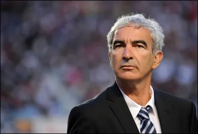 Quel joueur a insulté Raymond Domenech lors de la Coupe du monde 2010 ?