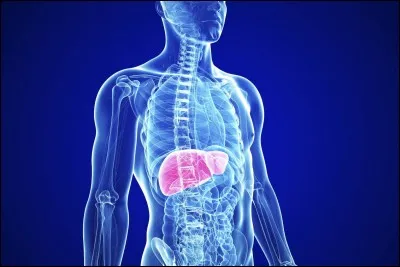 L'alcool a bousillé mon __.