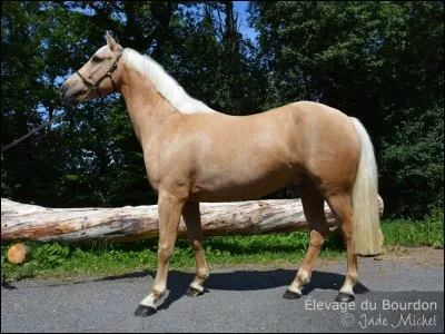 Le français de selle est...