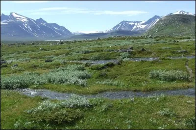 T : La toundra est présente aux USA.