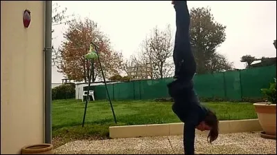 Comment appelle-t-on un poirier en gymnastique ?