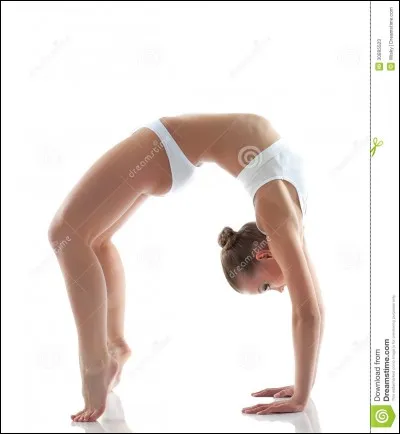 Comment appelle-t-on cette figure ?