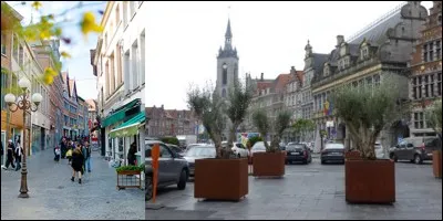Rome porte le surnom de « cité aux sept collines » comme Mulhouse (France), Montréal (Canada) et Tournai (France) !
