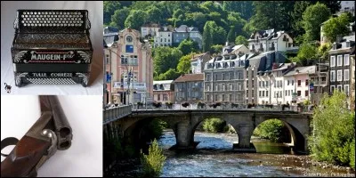 La ville de Tulle s'est déclarée « capitale des armes » !