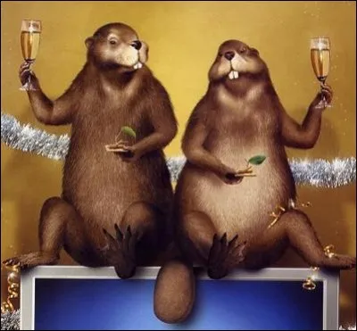 Vous avez fait un bon score, on va fêter ça. Je vous invite à boire un petit vin blanc à Nogent, donc où selon la chanson ?