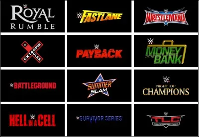 Quels sont les quatre grands Pay-Per-View de la WWE ?