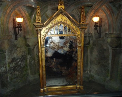 À la fin de "Harry Potter à l'école des sorciers", on assiste à la bataille entre Harry et Quirell. Que voit ce dernier dans le miroir du Rised ?
