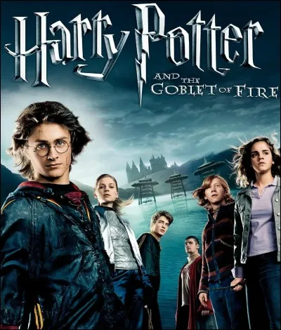 Dans HP4, pourquoi vous-savez-qui veut-il retrouver Harry dans le cimetière de Little Angleton ?