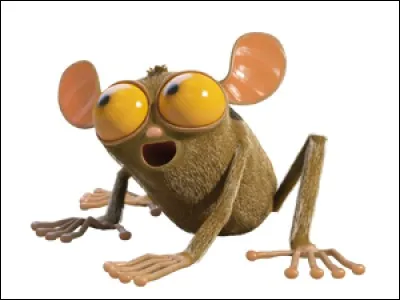 Comment s'appelle le plus petit et le plus intelligent des As ?