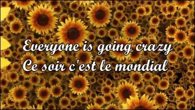 Qui chante "Mondial" en clin d'il à la Coupe du monde ?