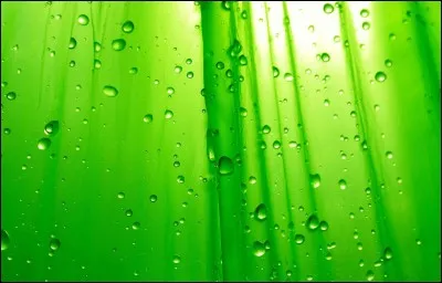 Comment dit-on "vert" ?