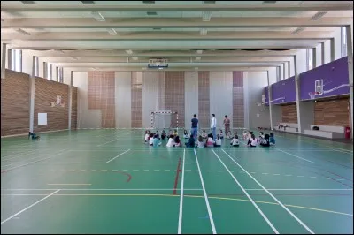 Lequel de ces terrains est le plus grand ?