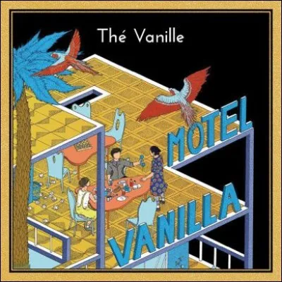 Quel est le nom du développeur de leur site internet ?