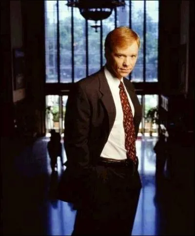 Aprs des checs rpts au cinma, David Caruso, en 1997, dcide de crer sa propre srie qui s'appelle... ?