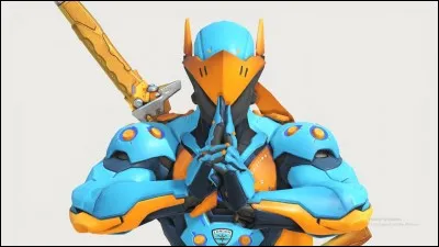 Quelle est l'équipe dont les skins sont bleus et orange ?