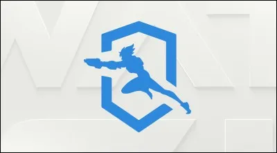 Avec 100 tokens, combien de skins peut-on s'acheter ?