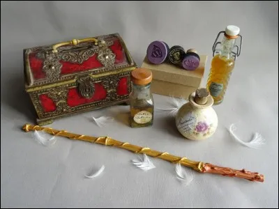 As-tu des objets ''Harry Potter'' ?