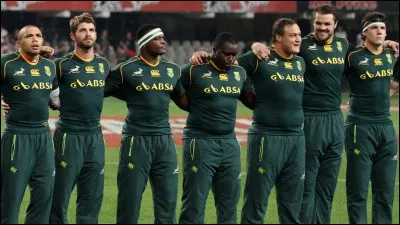 Quel est le surnom de l'équipe d'Afrique du Sud de rugby ?