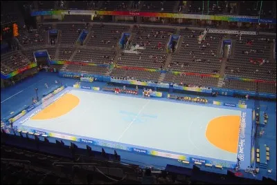 Qui est le meilleur joueur du monde de handball en 2008 ?