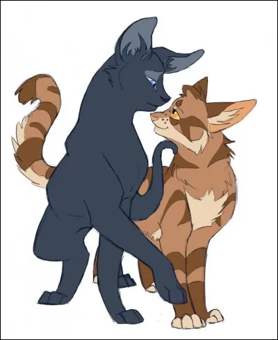 Comment s'appellent les chatons de Plume de Jais et Feuille de Lune ?