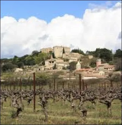 Je vous propose de partir en Occitanie à la découverte de Vénéjan. Village viticole de l'arrondissement de Nîmes, sur le Rhône, il se situe dans le département ...