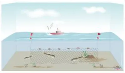 Filet de p&ecirc;che form&eacute; de trois couches superpos&eacute;es. Cela porte le nom de ...