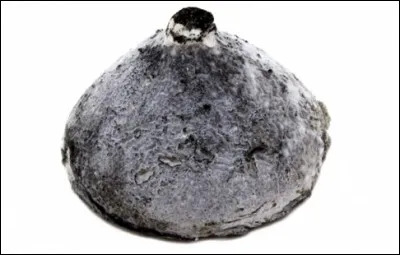 Quel est ce fromage cendr&eacute; au lait de ch&egrave;vre ?