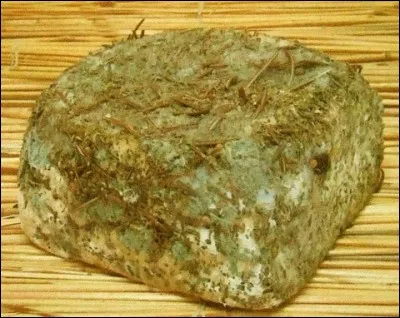 Quel est ce fromage au lait de brebis et aux herbes sauvages ?