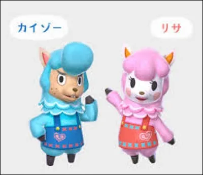 Comment s'appelle le magasin de Risette ?