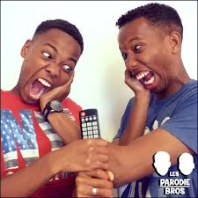 Qui est ce groupe ? Les _______ Bros