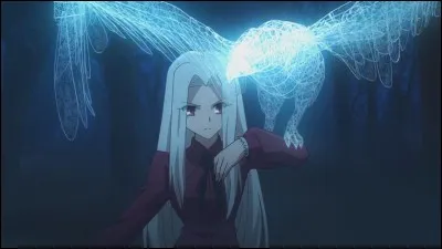 Avec quoi Irisviel a-t-elle créé cet Homonculus ?